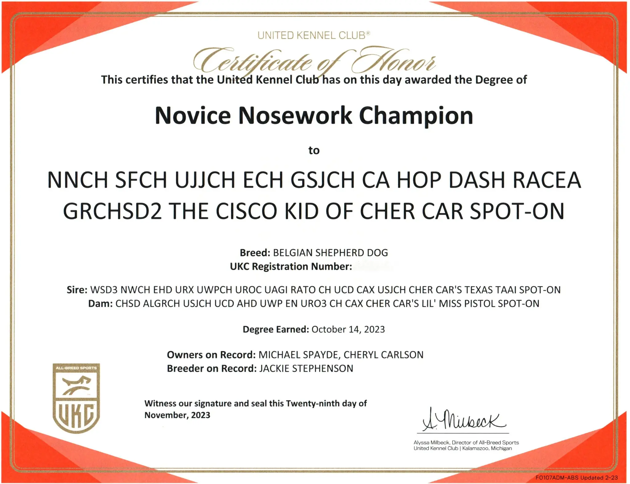 Novice Nosework Champion (NNCH)