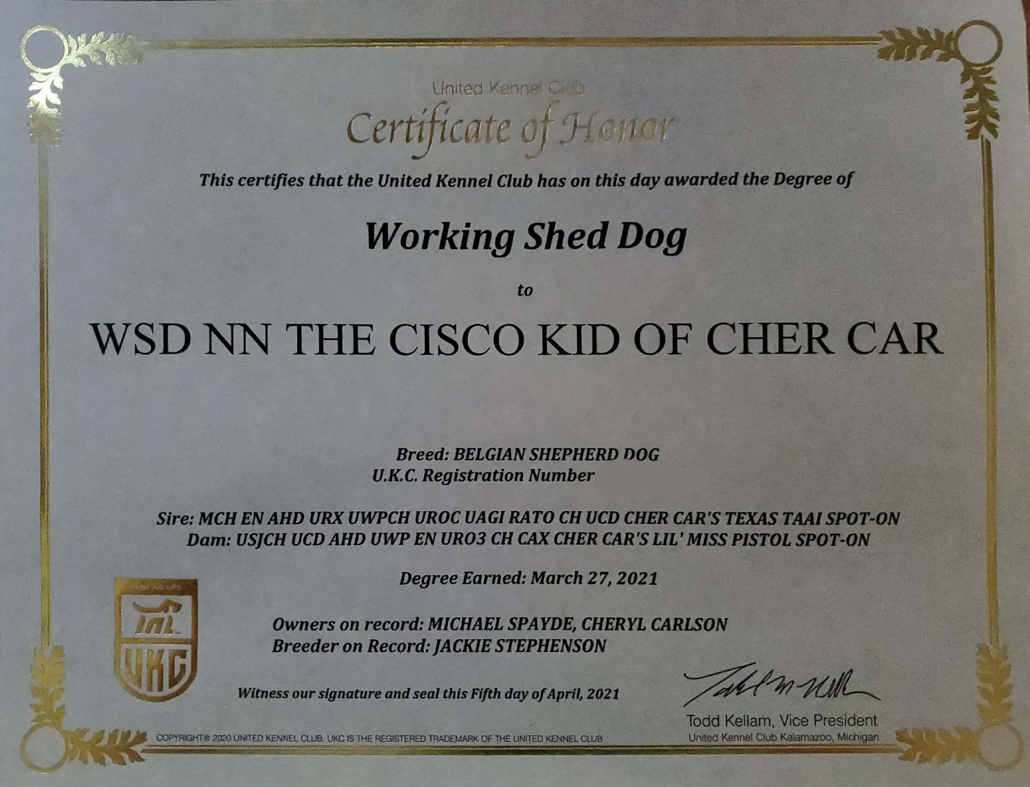 Working Shed Dog (WSD)