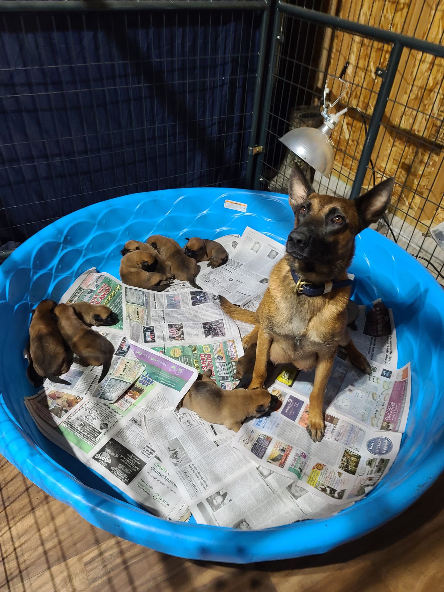 STONE x CISCO Litter