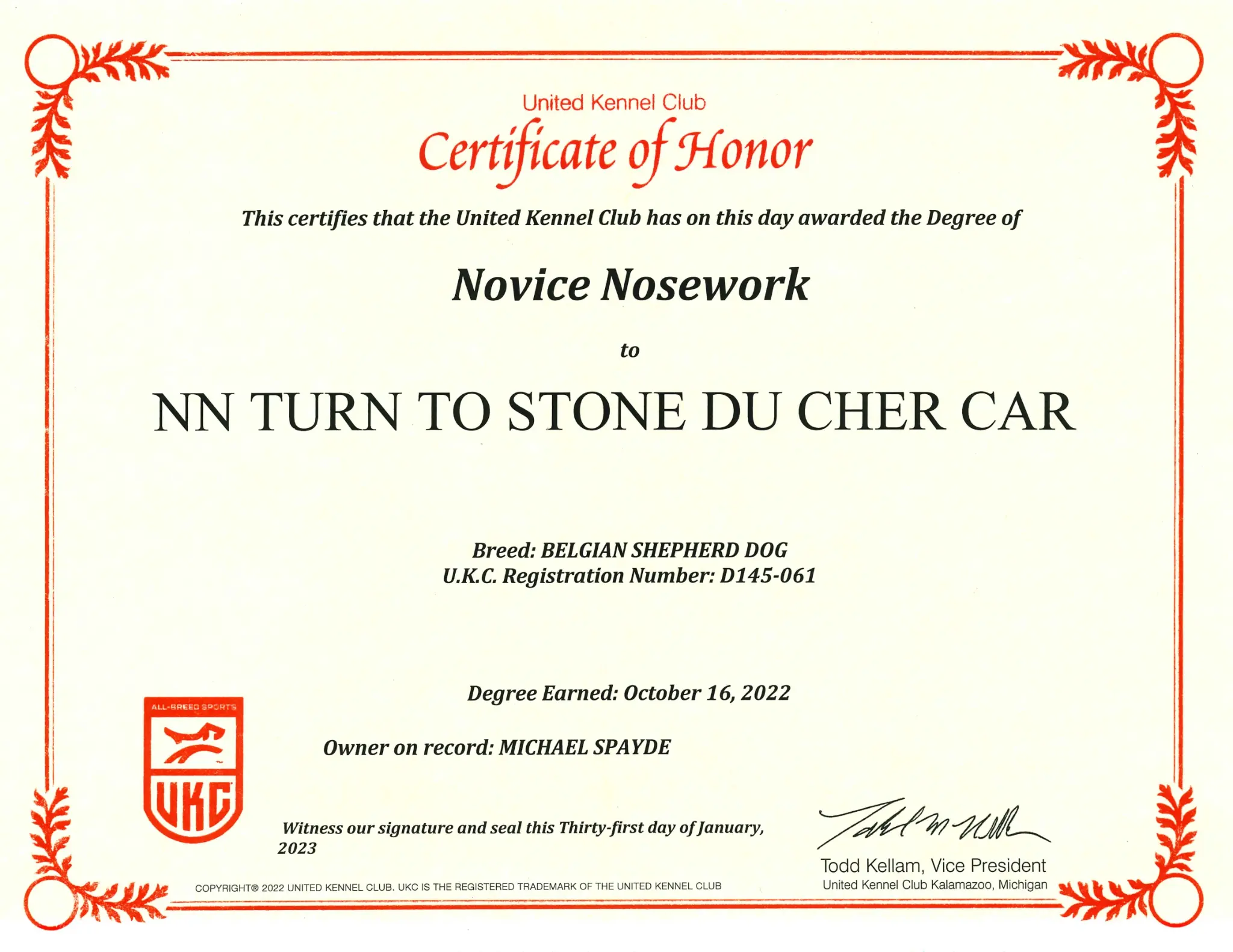 Novice Nosework (NN)